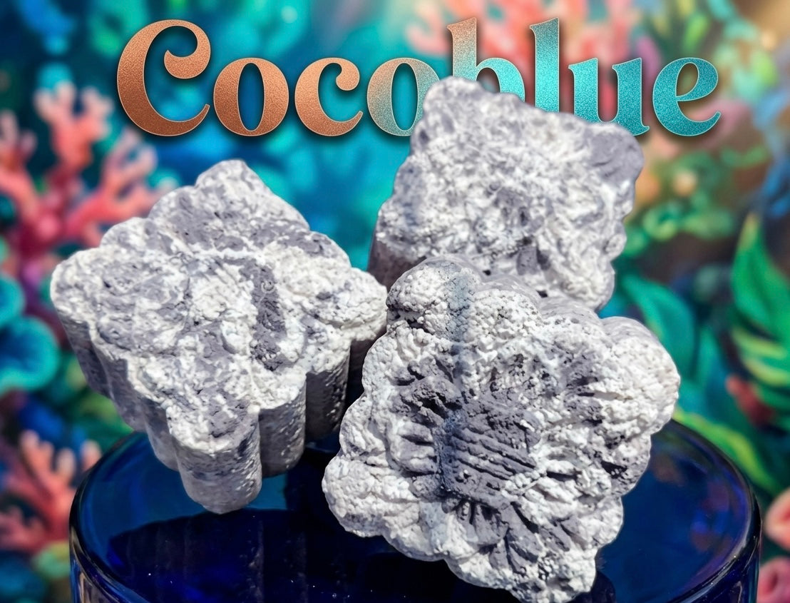 Coco Blue