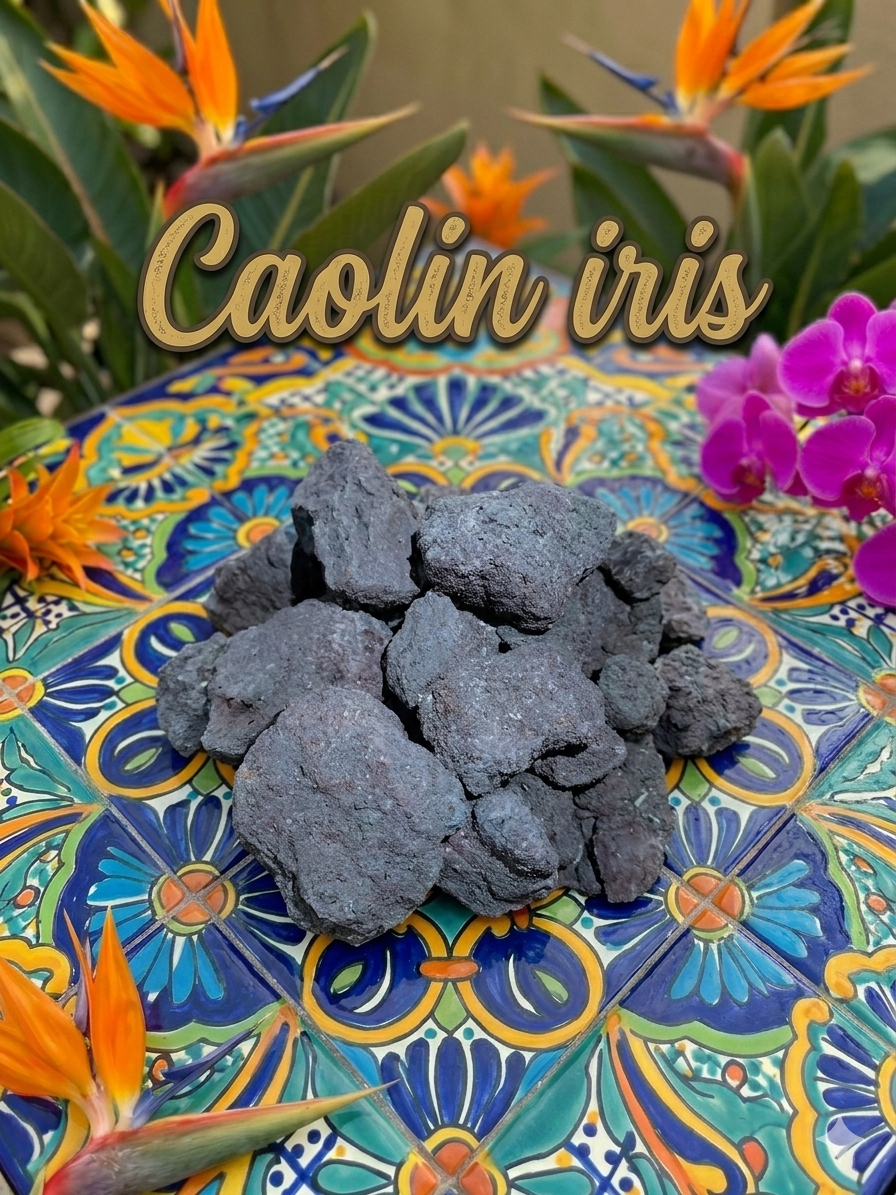 Caolin Iris