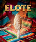 Elote